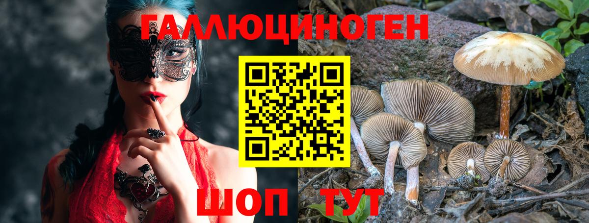 Псилоцибиновые грибы MAGIC MUSHROOMS  Вход с VPN  Новороссийск 
