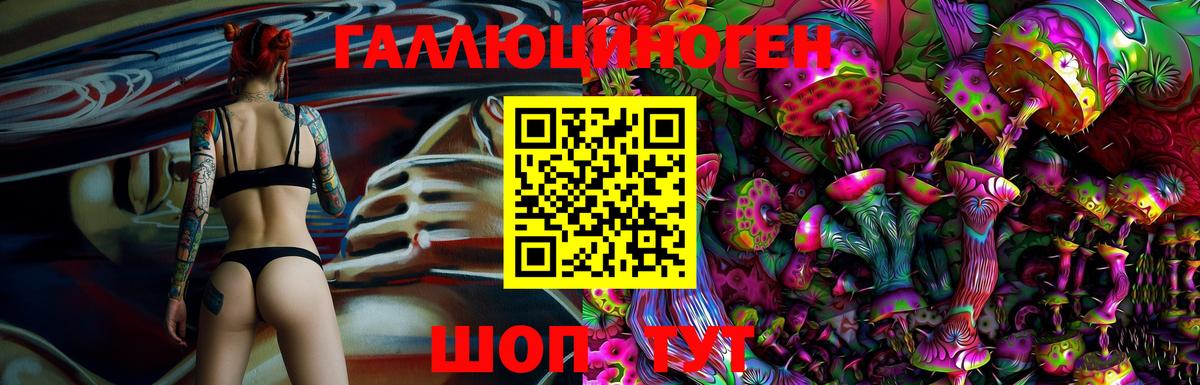 Галлюциногенные грибы Magic Shrooms Новороссийск